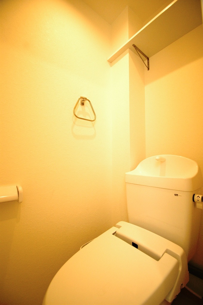 駅南第1ケイコービル：1LDKのトイレ